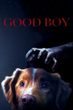 film good boy 2025